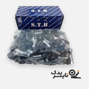والو استیل لوگودار  TR414C S.T.B بسته صد عددی تایر یدک